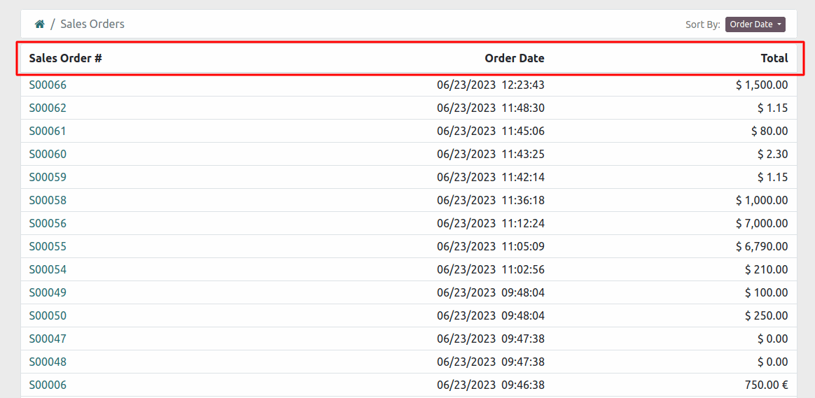 Step-by-step guide to accessing records in Odoo portal