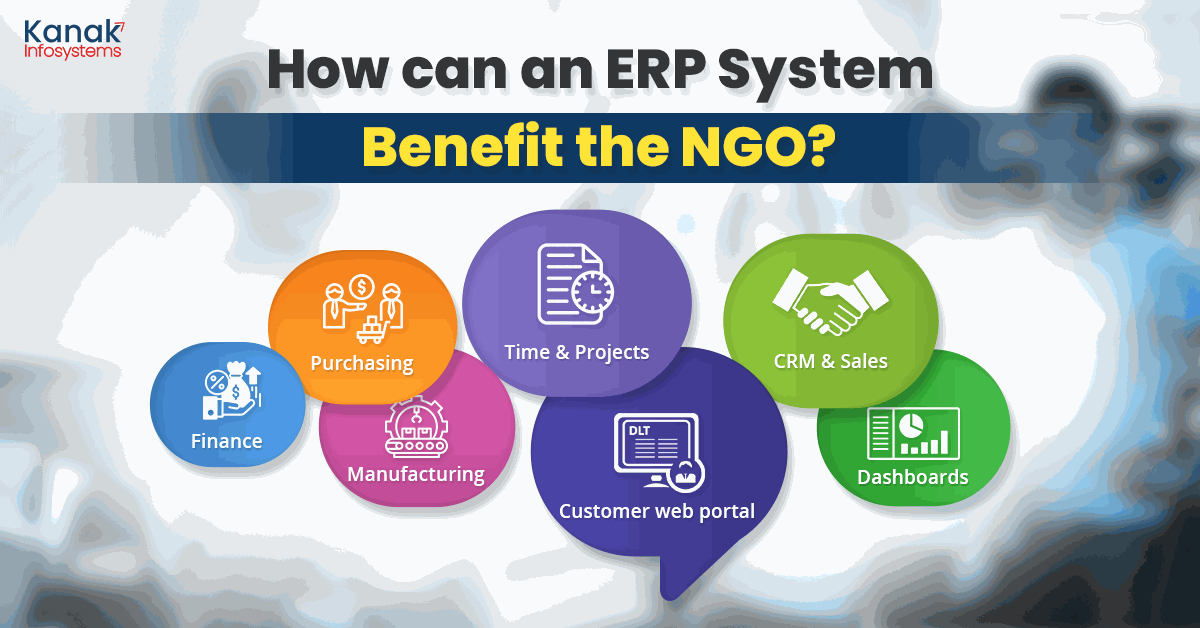 How can an erp system benefit the NGO?