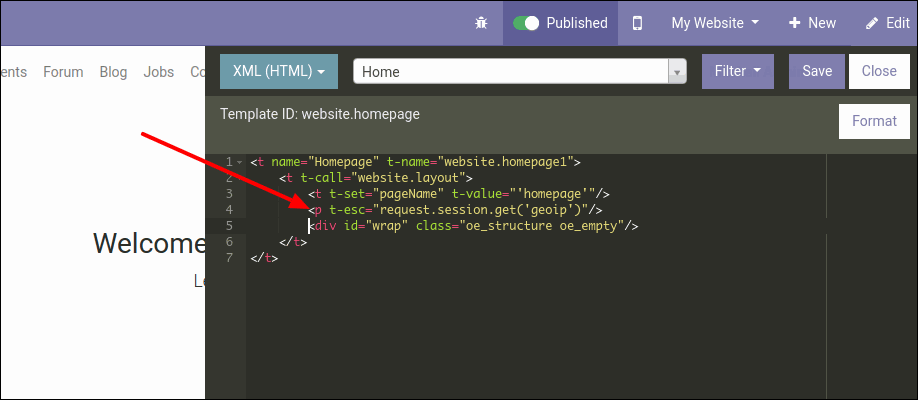 How To Show Geolocation Based Pricelist Test GEOIP Package