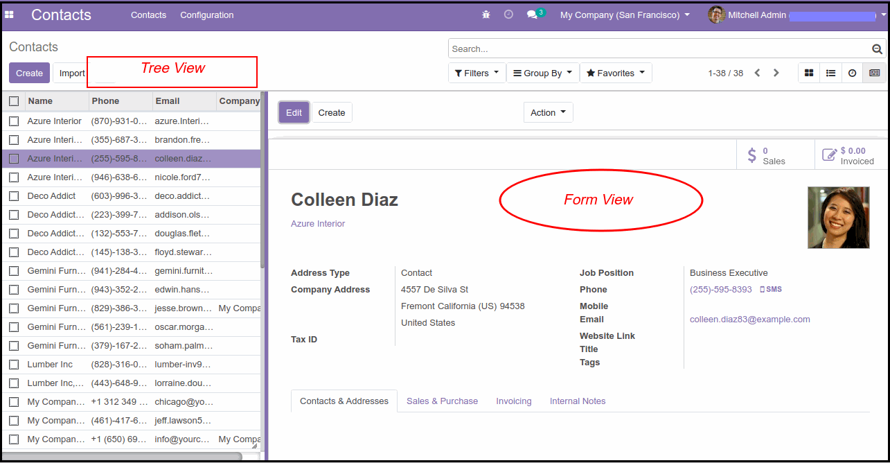 Odoo Pane View M​odule: Step by Step Guide