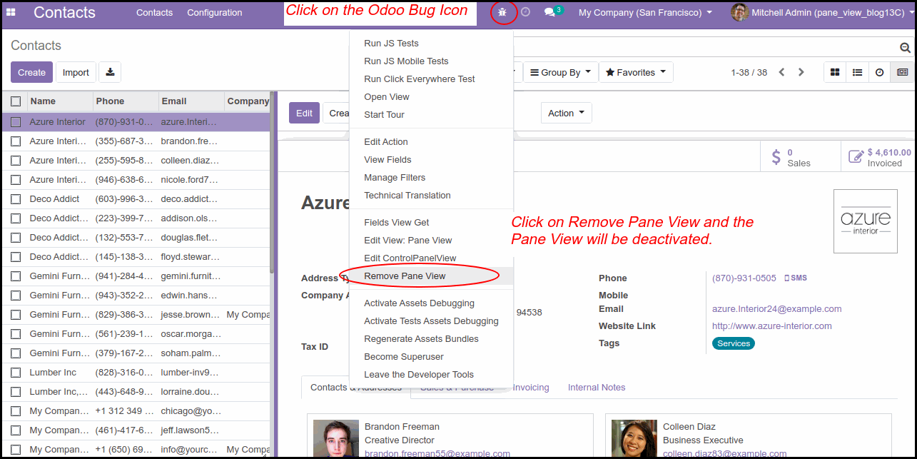 Odoo Pane View M​odule: Step by Step Guide