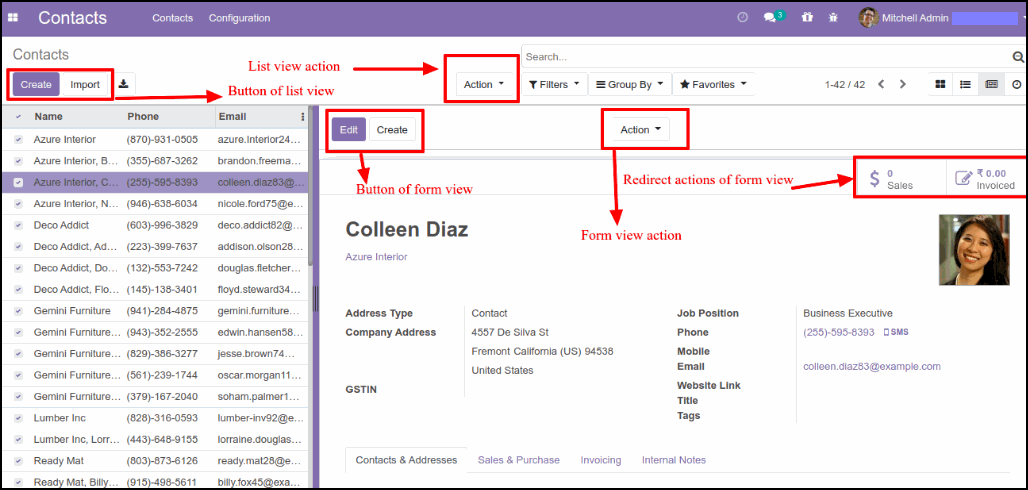 Odoo Pane View M​odule: Step by Step Guide