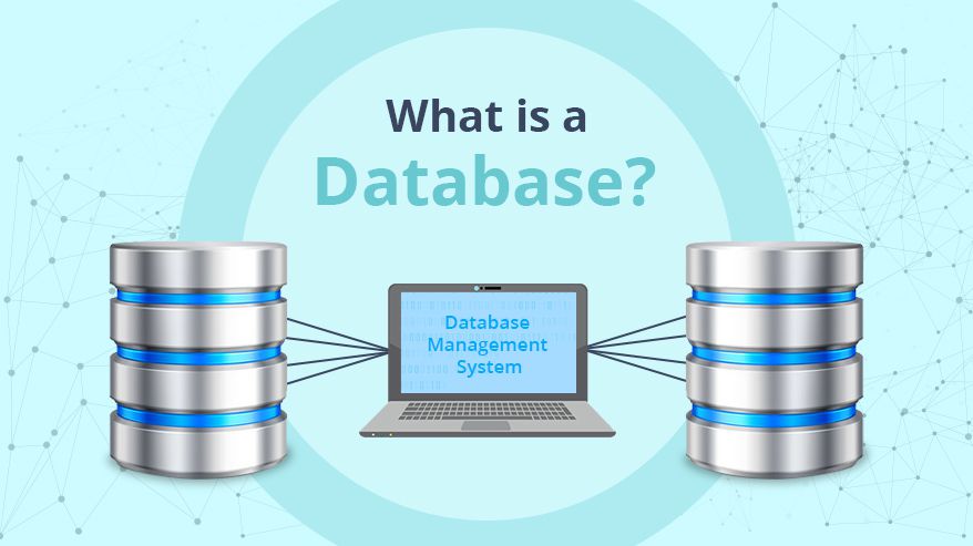 What is a Database