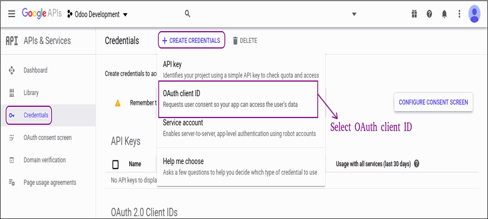 How To Login With Social Signon In Odoo ( Google/Facebook ) Sign in with Google : Step by Step Process