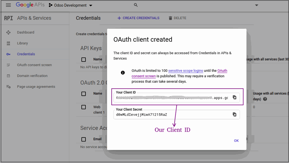 How To Login With Social Signon In Odoo ( Google/Facebook ) Sign in with Google : Step by Step Process