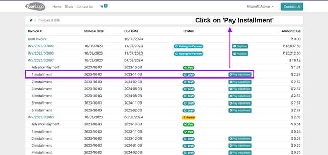 Website Payment Installment Module in Odoo: Configuration