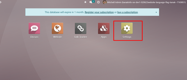 Overview of Website Language Flag Odoo Module