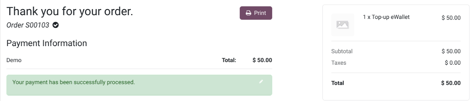 Ewallet In Odoo v17 How customer use the e-wallet as a payment method