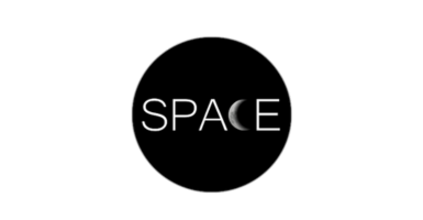 Space Logo