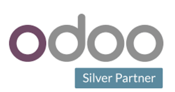 Odoo ERP Partner