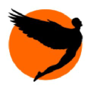 Ikarus Technologies Logo